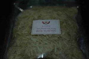 1441474_376557205810261_1851490806_n