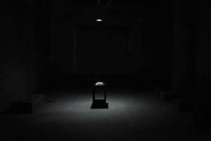 947291_376557155810266_831085187_n